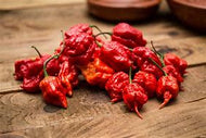 Carolina Reaper